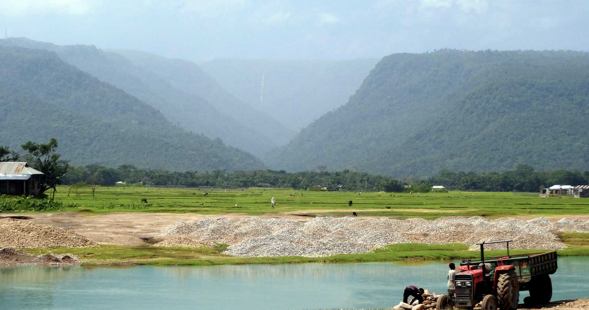 Scène de collines brumeuses au loin dans des champs verdoyants.