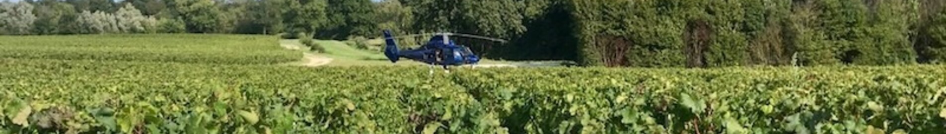Ontdek de wijngaarden per helikopter