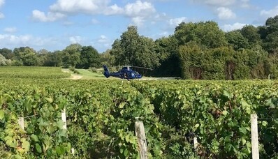 Ontdek de wijngaarden per helikopter