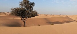 Privé Straalvliegtuig Charter in Dubai