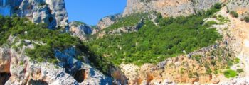 Tabarka : location de jet privé