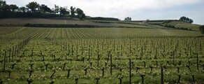 Bordeaux Mérignac: privé jet huren 