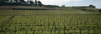 Slupsk : location de jet privé