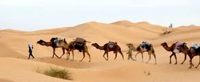 Tunis: privé jet huren