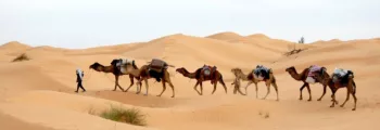 Tutow : location de jet privé