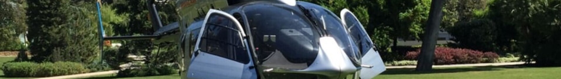 Dierentuin Beauval per helikopter