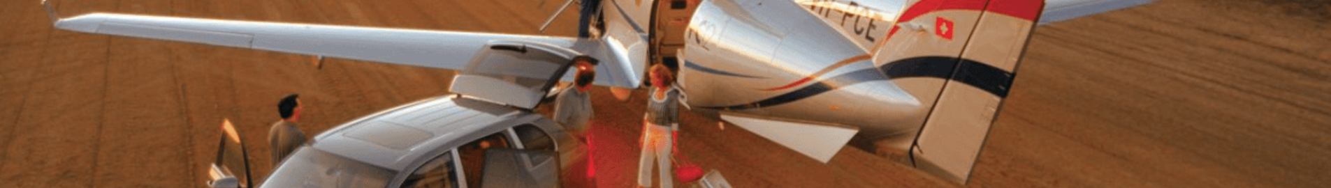 Huur een privéjet voor een safari