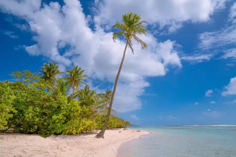 Plage Guadeloupe
