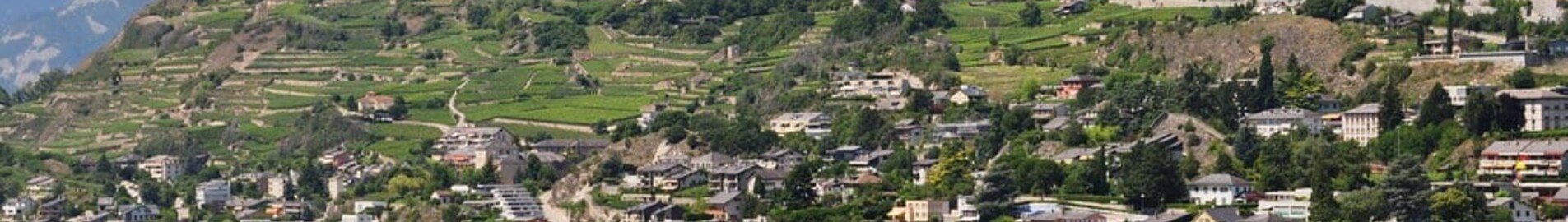 Sion : privé jet huren 