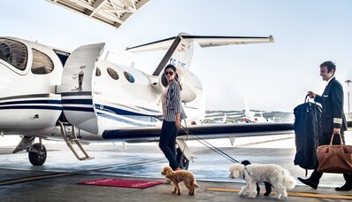 16 beroemde eigenaars van privéjets: sterren, leidinggevenden en miljardairs