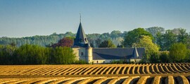 Vlaanderen - Kortrijk : privé jet huren 