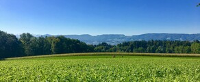 Dubendorf: privé jet huren 