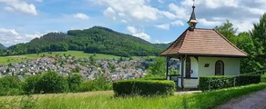 Lahr Zwarte Woud: privé jet huren 
