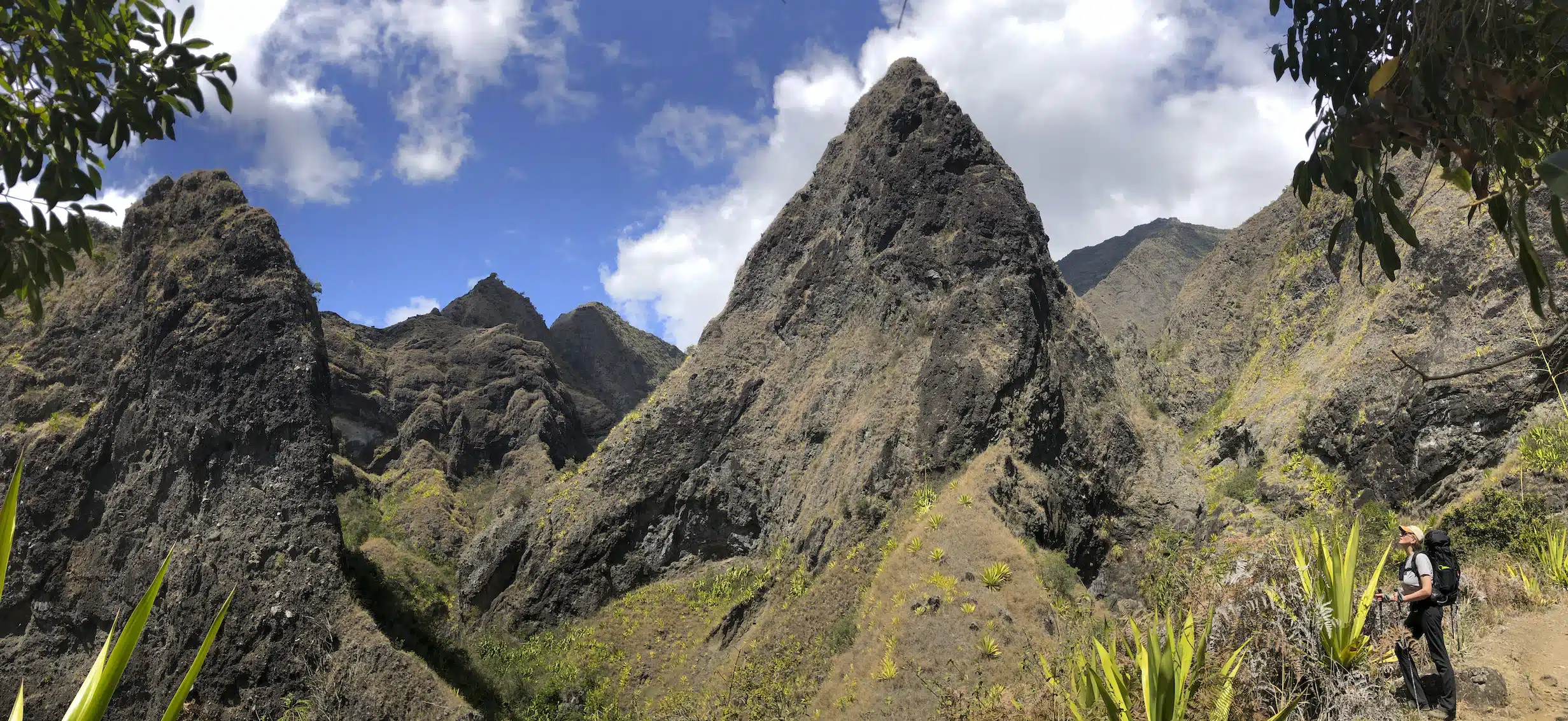 Réunion aventure montagne sentier plantes luxuriantes.