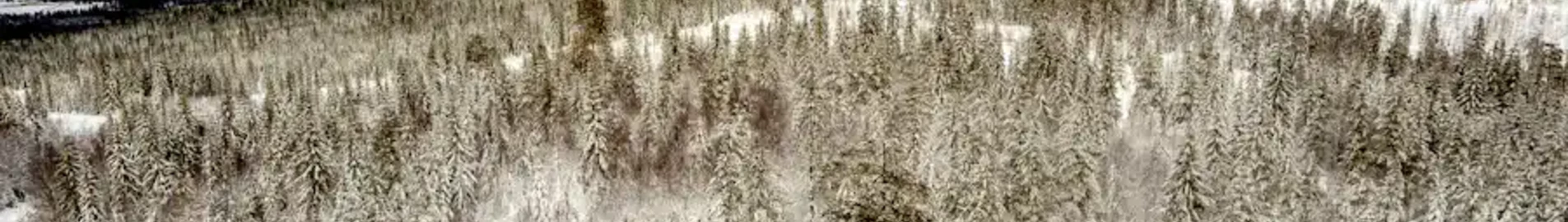 Hagfors : privé jet huren