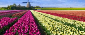 Hoogeveen : location de jet privé