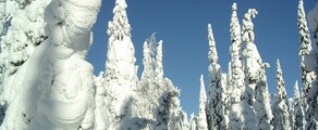 Kuusamo : privé jet verhuur 