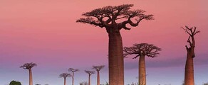 Madagaskar: Verhuur van privéjets