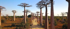Morondava : privé jet huren