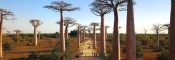 morondavas: location de jet privé