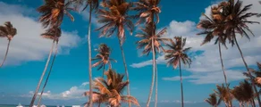 Punta Cana: privé jet huren