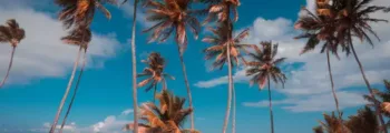 Punta Cana : location de jet privé