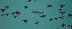 Saransk : privé jet huren
