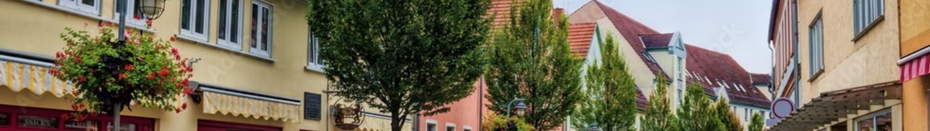 Sommerda : privé jet huren 