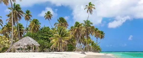 Tobago Scarborough Crown Point : privé jet verhuur 