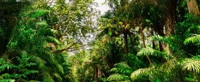 Trinidad & Tobago : Privé jet verhuur