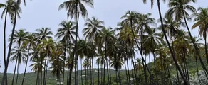 Union Island : privé jet huren