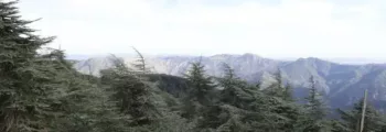 Mirnyj : location de jet privé