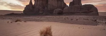 Xangongo : location de jet privé