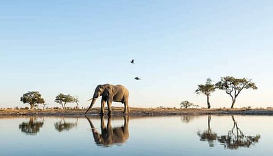 Luchtvracht naar Afrika met AEROAFFAIRES