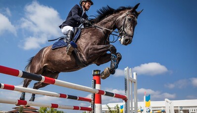 Paarden vervoeren per vrachtvliegtuig: procedures, prijzen, gespecialiseerde bedrijven en voordelen