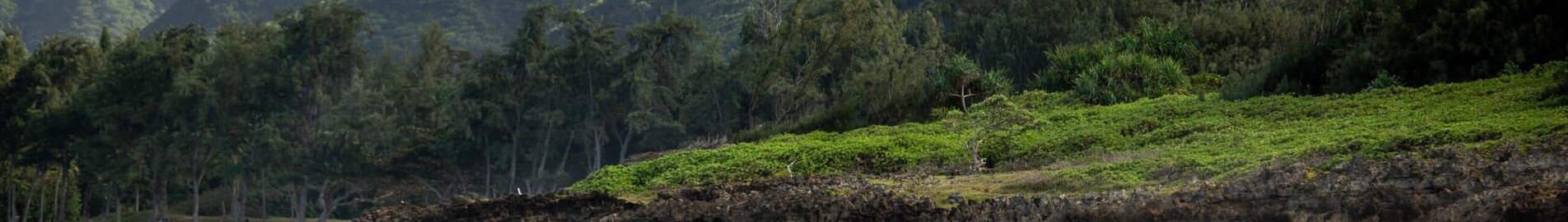 Hawaii : Privé jet en helikopter verhuur