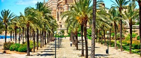 Napels - Palma de Mallorca : privé jet huren