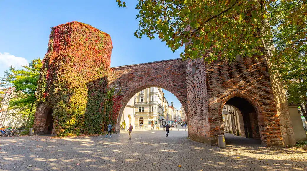 munich : location de jet privé