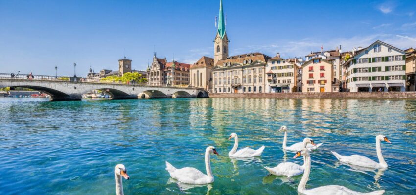zurich3