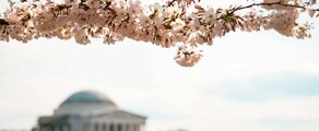 Las Vegas - Washington DC : privé jet huren