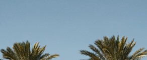 Houston - Orlando : privé jet huren