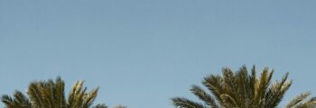 Palma de Majorque : location de jet privé