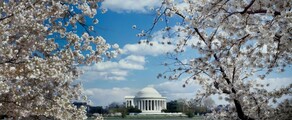 Los Angeles - Washington DC : privé jet huren