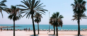 Frankfurt - Barcelona: privé jet huren