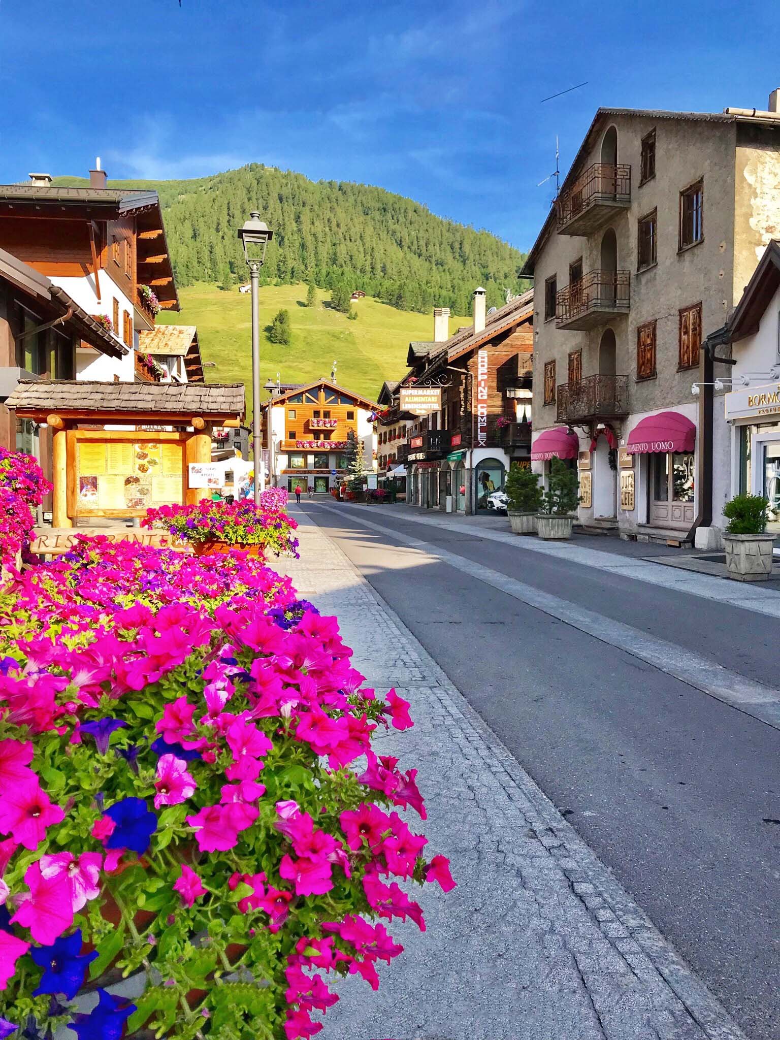 Livigno jet privato
