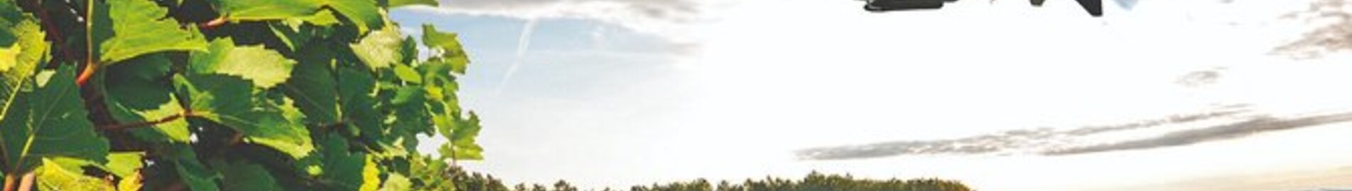 De wijngaarden van Bourgondië: helikoptervlucht