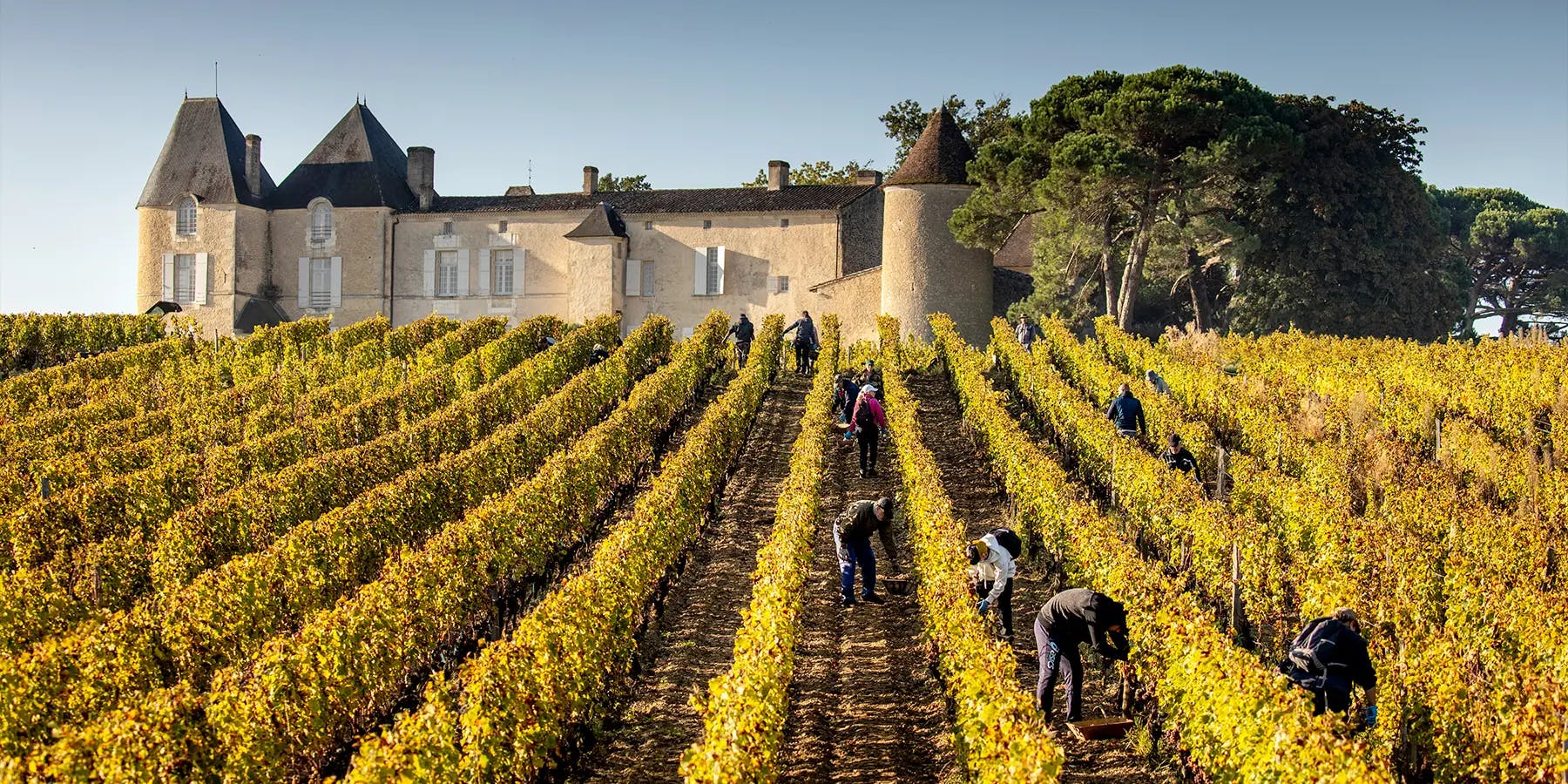 tour vigneti italiani elicottero